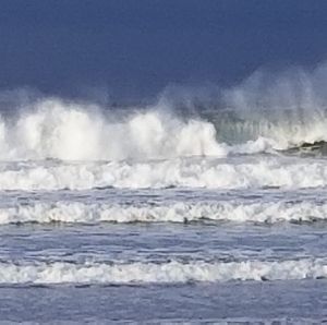 Meet your Posher, Wayne